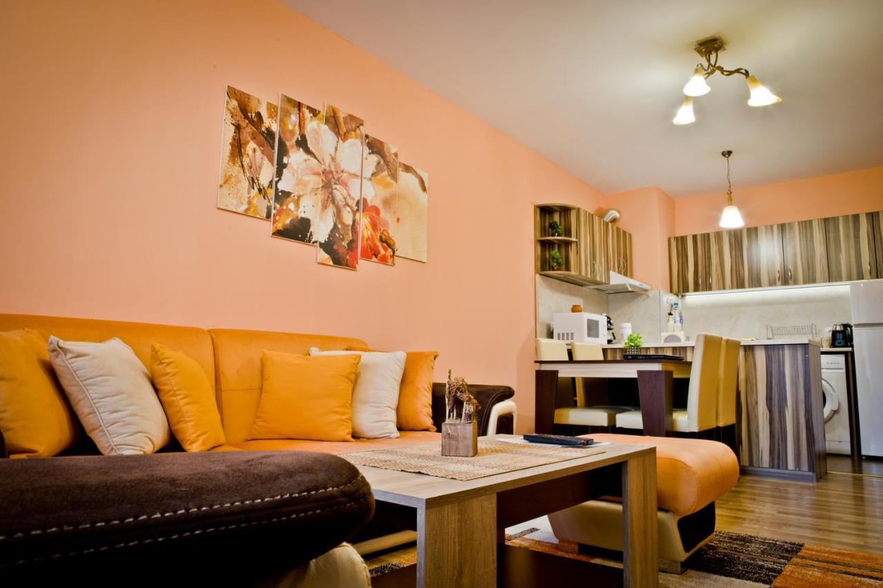 Sunflower Apartment City Center Plovdiv Extérieur photo
